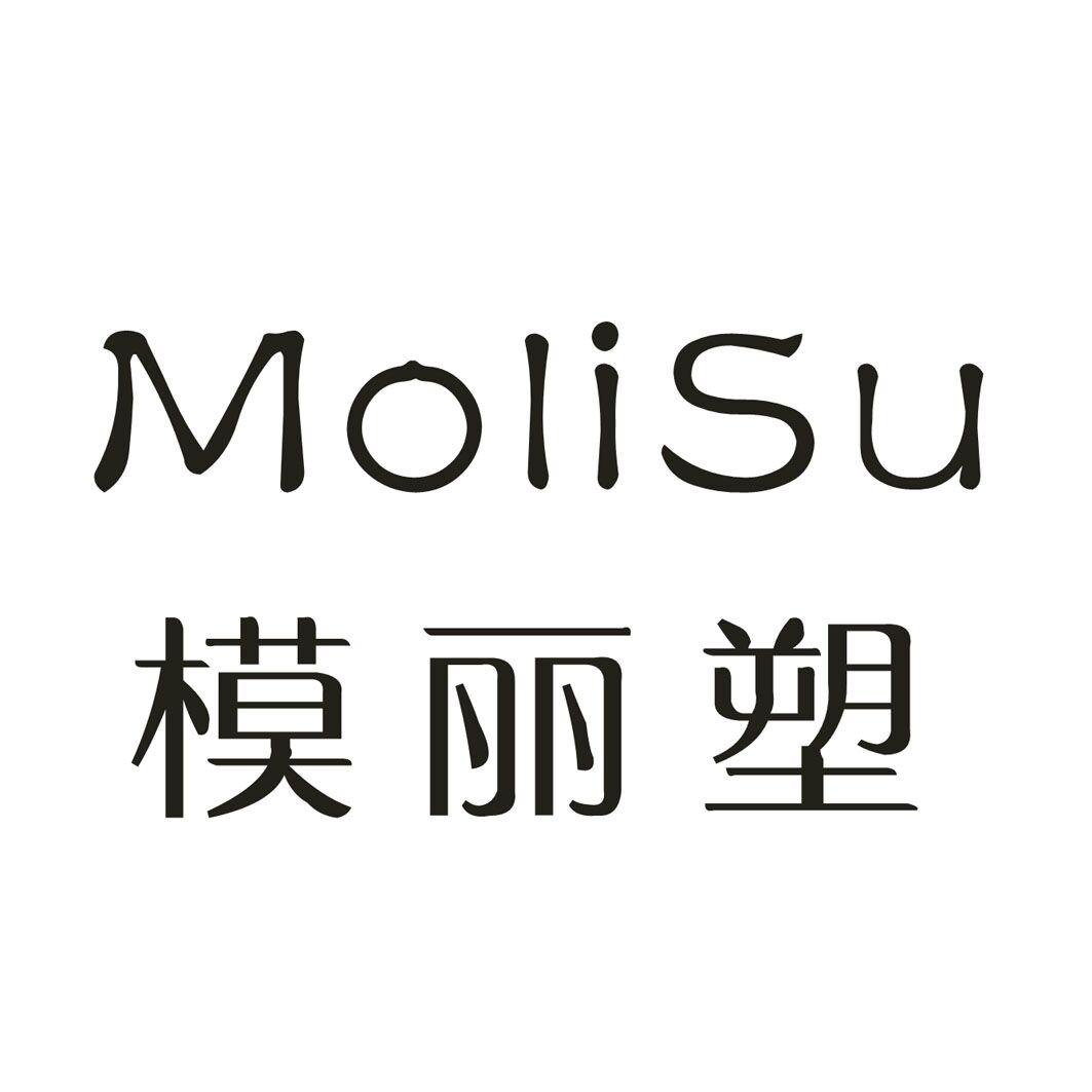 模丽塑
