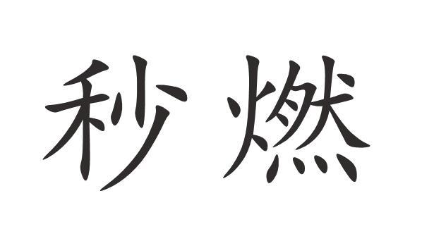 秒燃