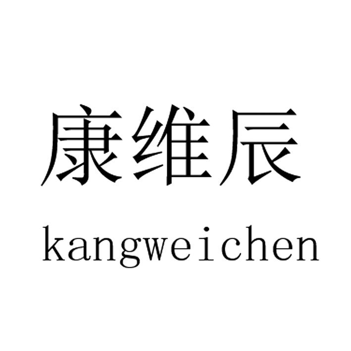 康维辰