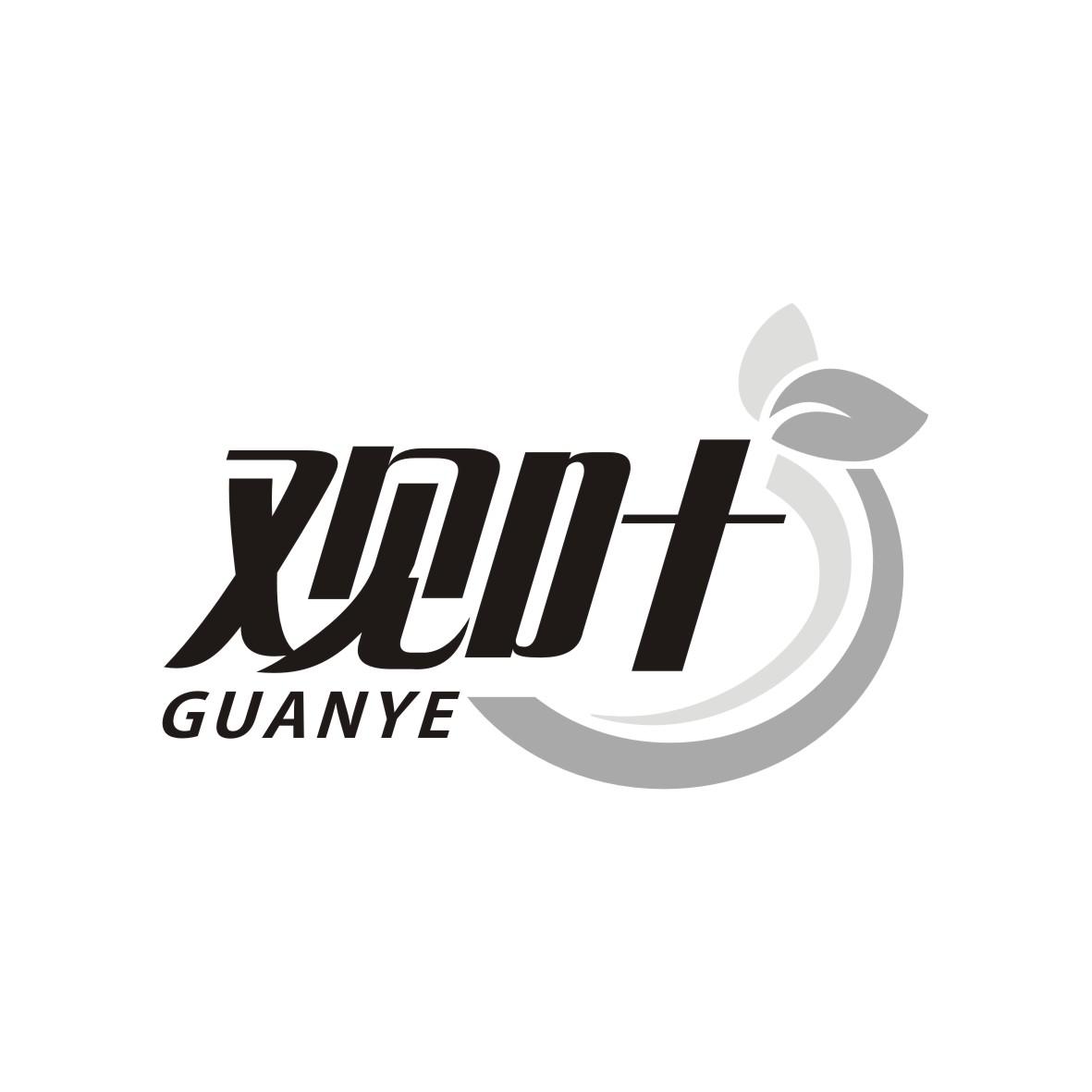 观叶 GUANYE