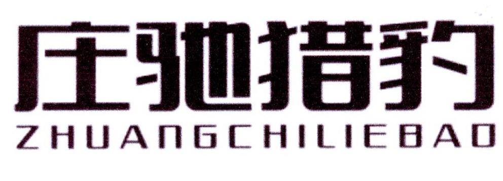 庄驰猎豹