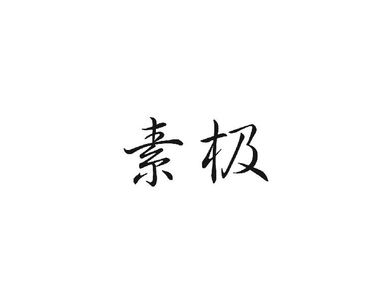 素极