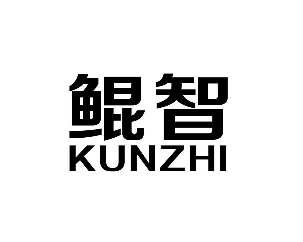 鲲智