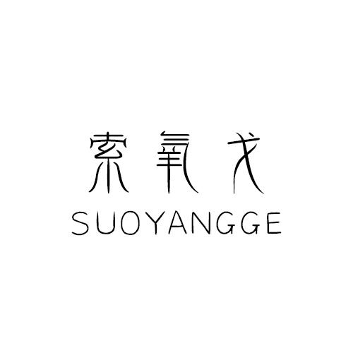 索氧戈