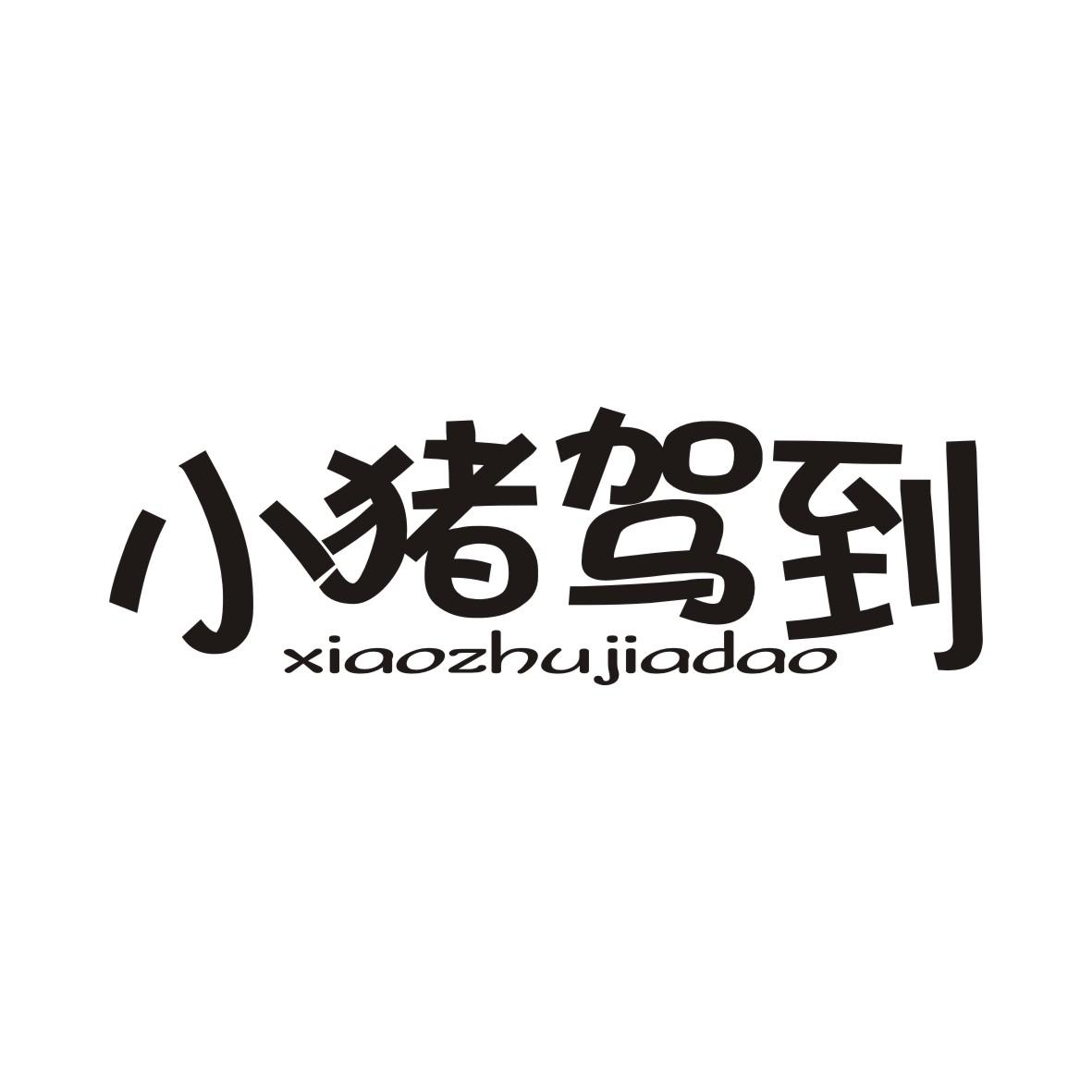 小猪驾到XIAOZHUJIADAO