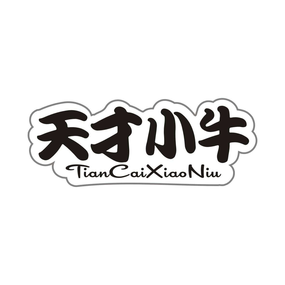 天才小牛TIANCAIXIAONIU