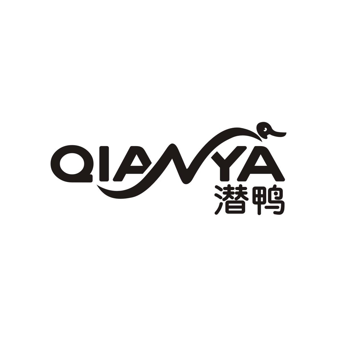 潜鸭