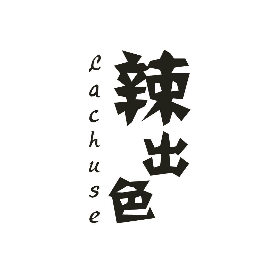 辣出色