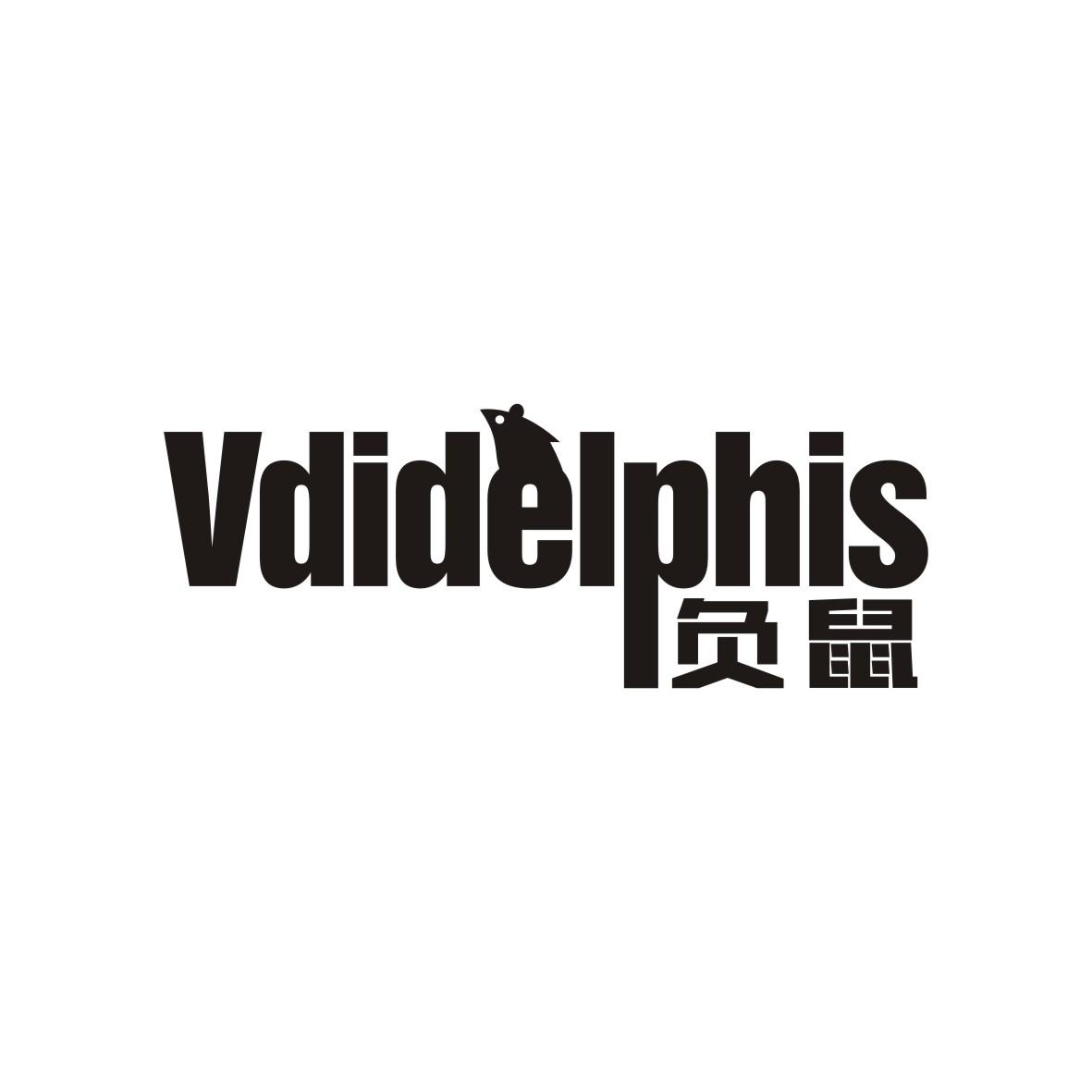 负鼠   Vdidelphis