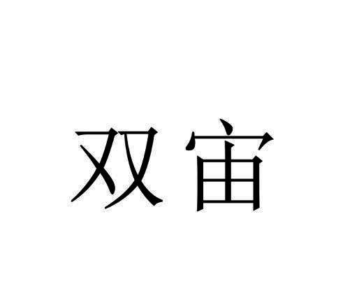 双宙