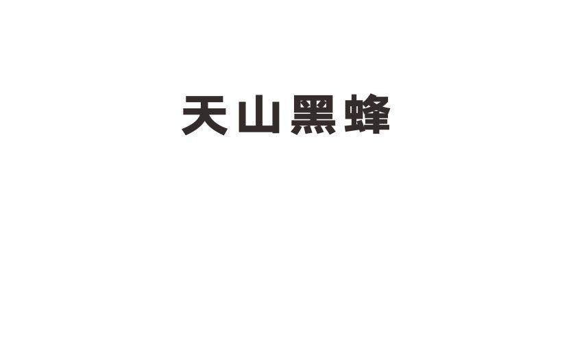 天山黑蜂