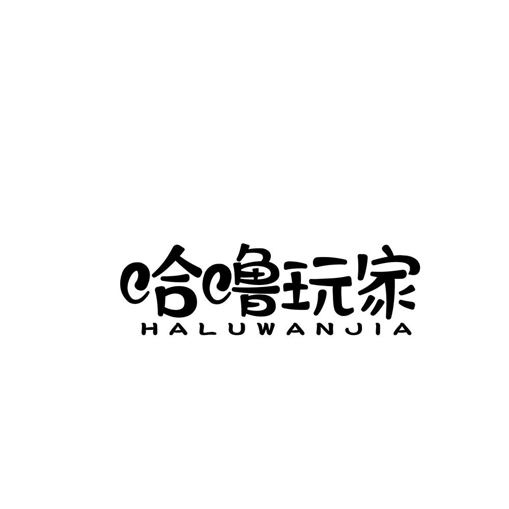哈噜玩家