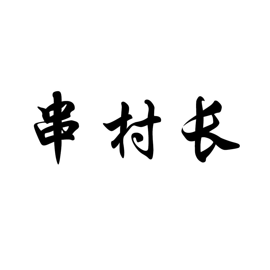 串村长