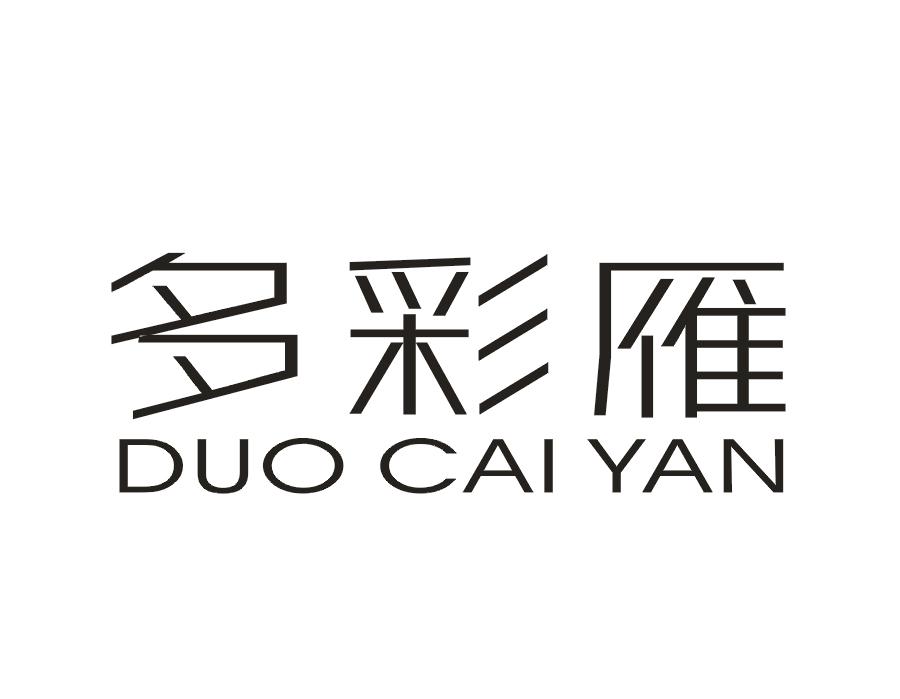 多彩雁