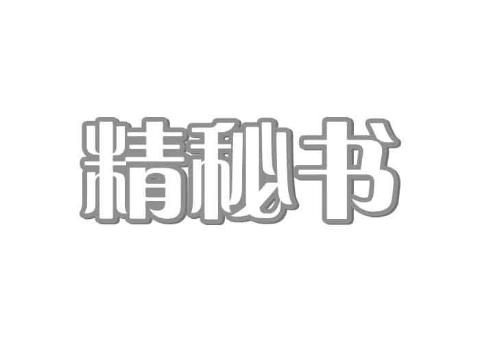 精秘书