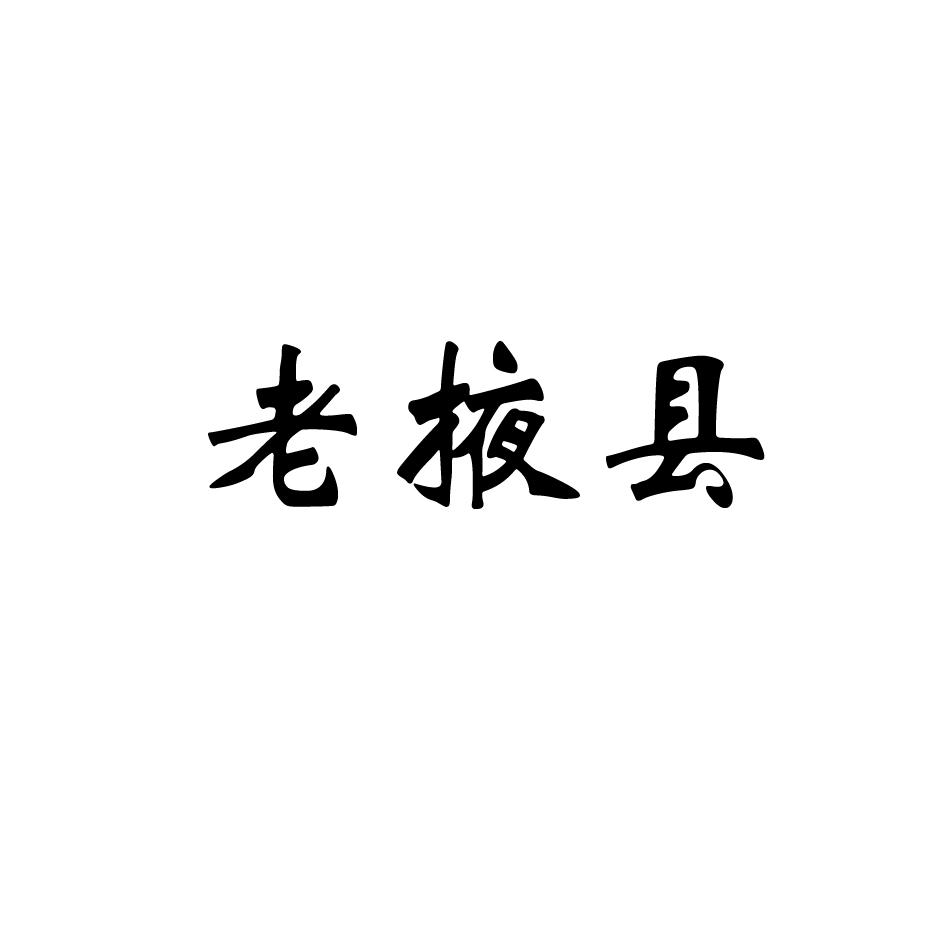 老掖县