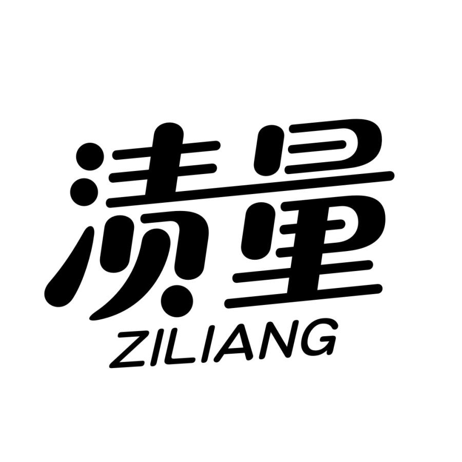 渍量ZILIANG