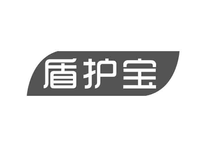 盾护宝