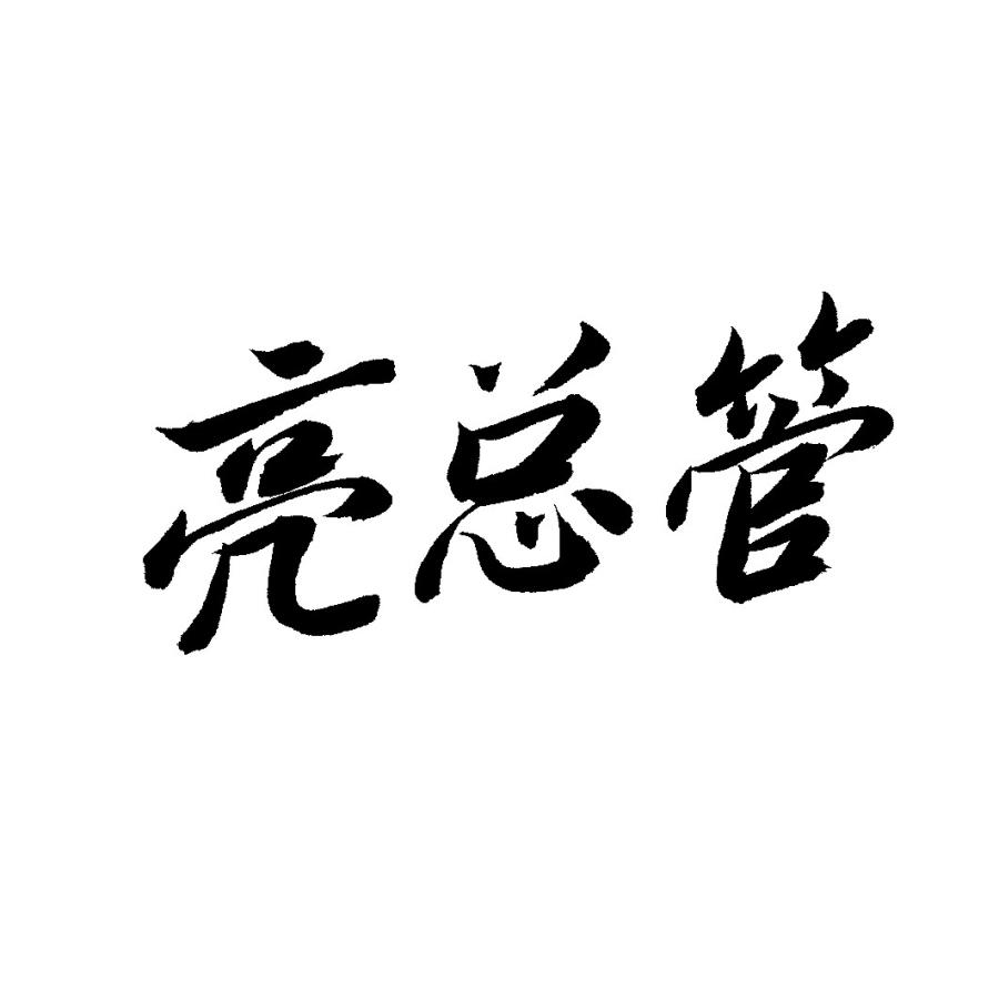 亮总管