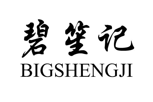碧笙记 BIGSHENGJI
