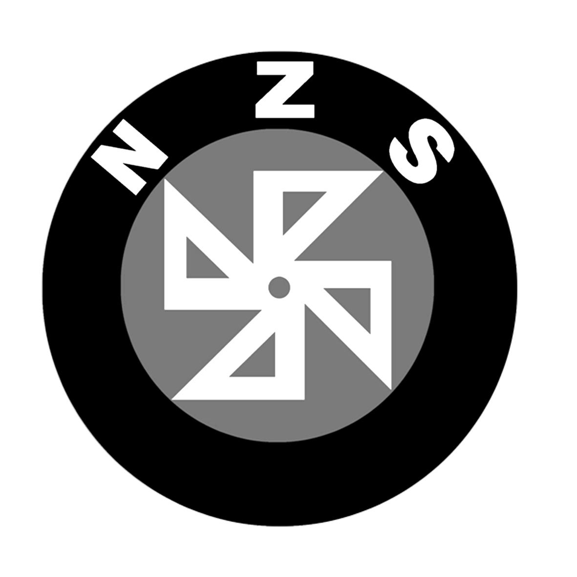 图形+NZS