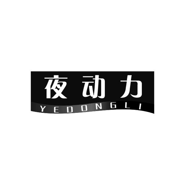 夜动力