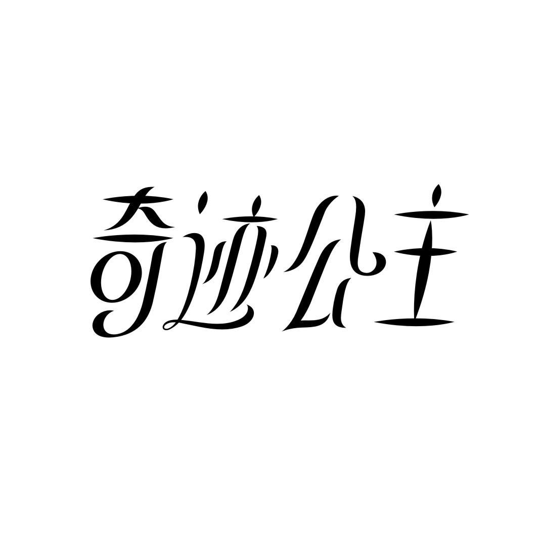 奇迹公主