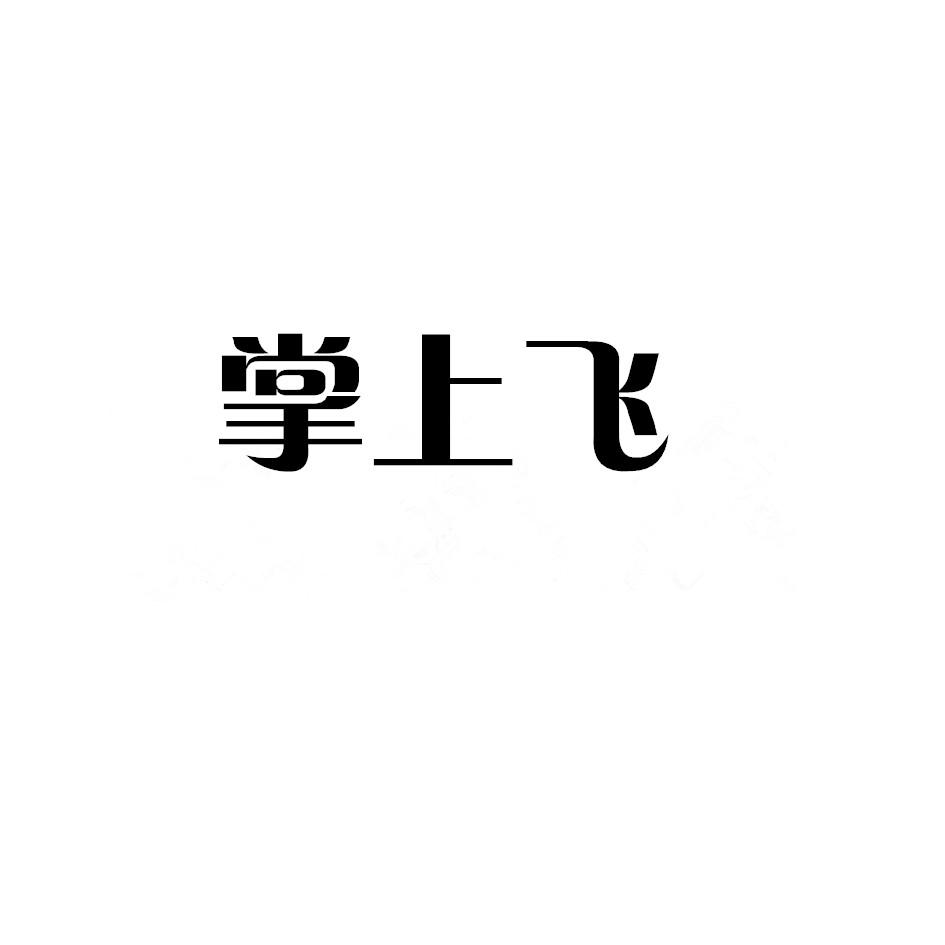 掌上飞