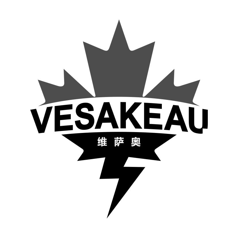  维萨奥 VESAKEAU