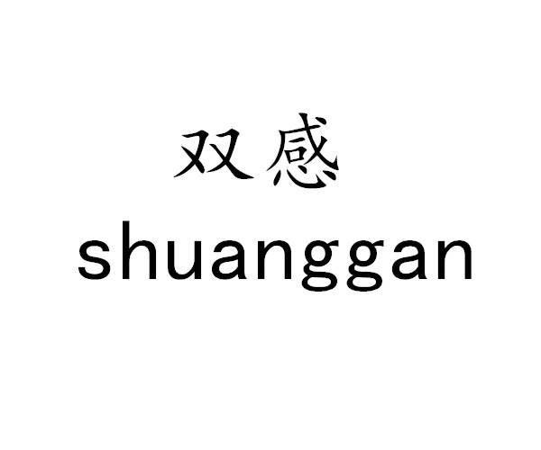 双感