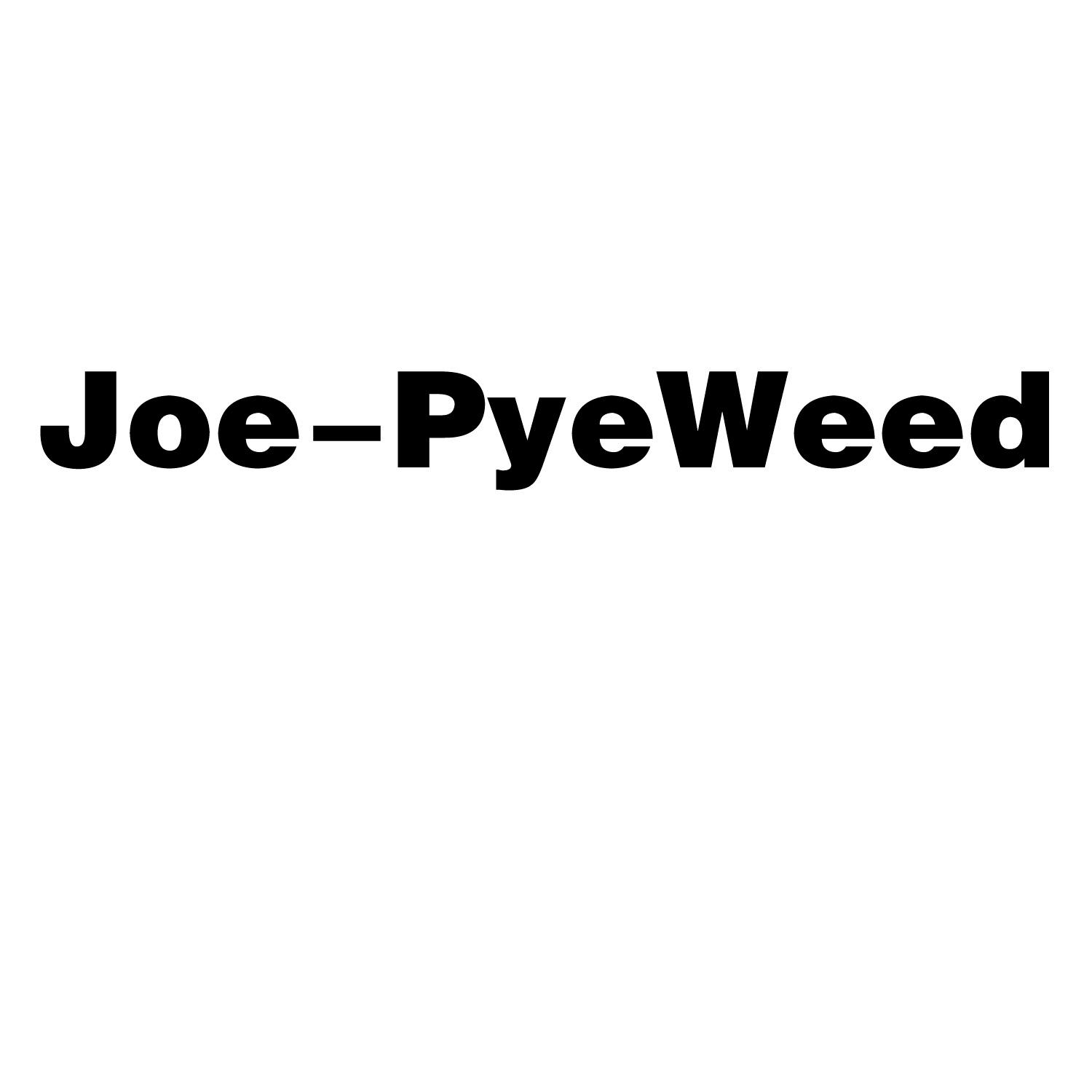 JOE-PYEWEED