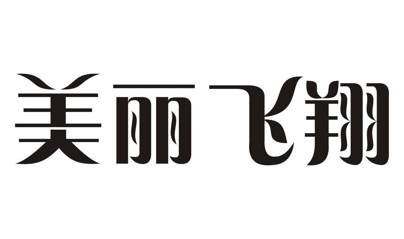 美丽飞翔