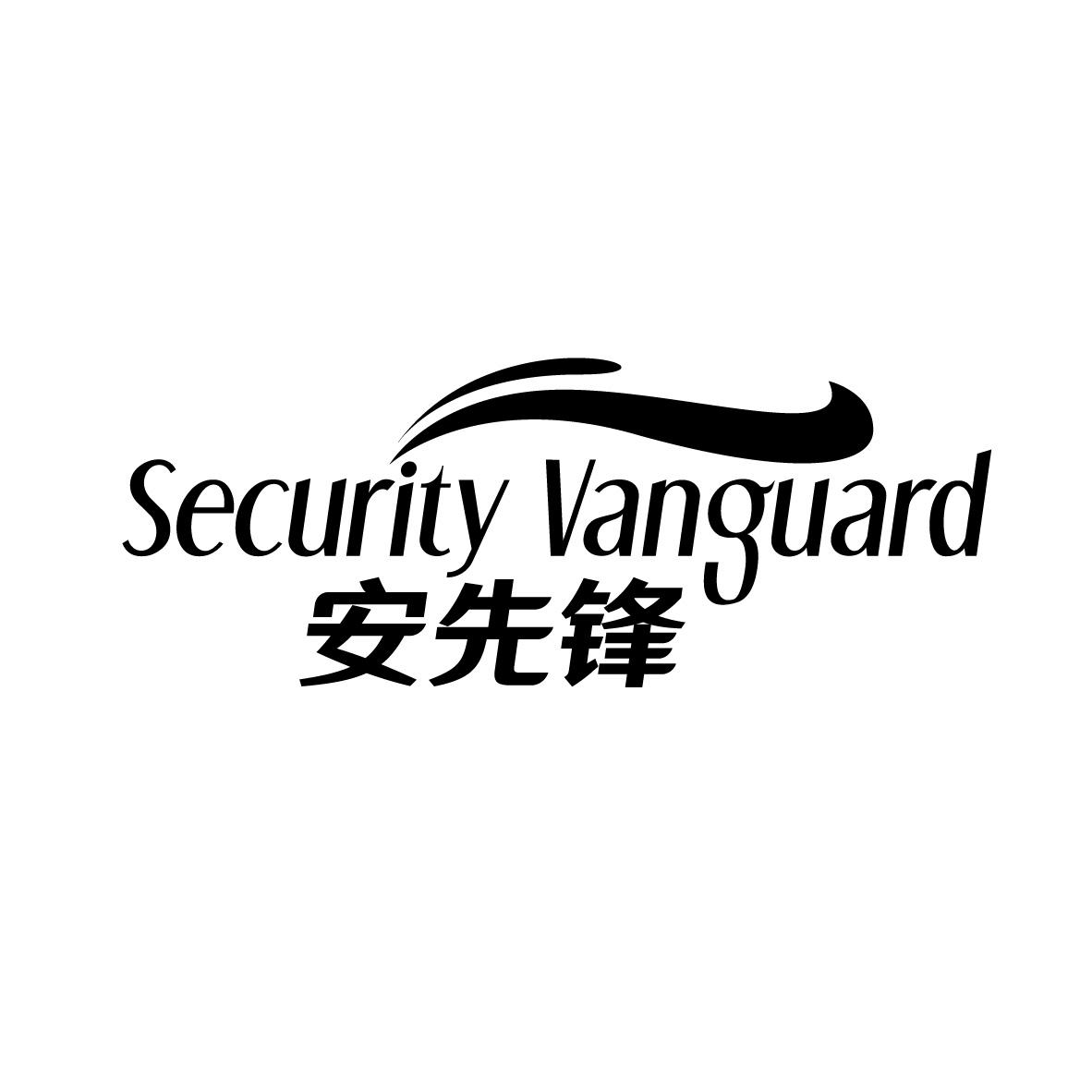 安先锋
 SECURITY VANGUARD