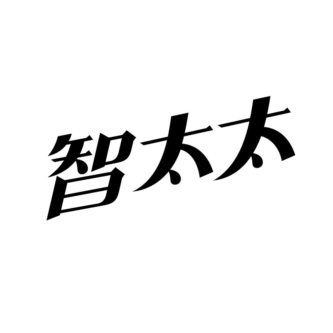 智太太