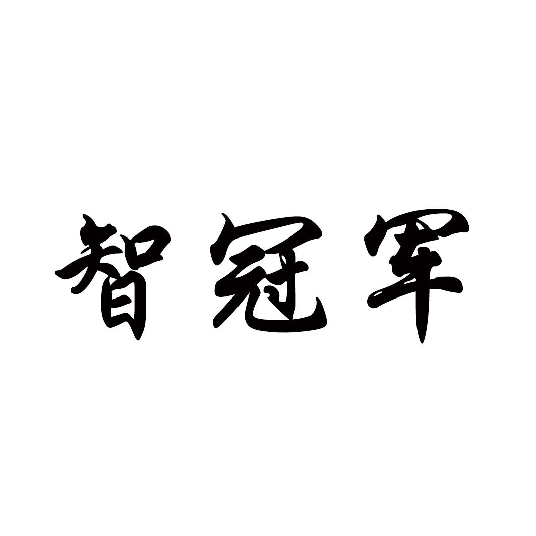 智冠军