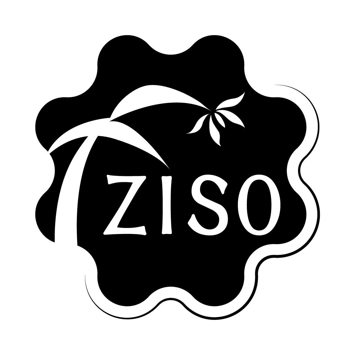 
ZISO