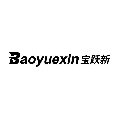 宝跃新