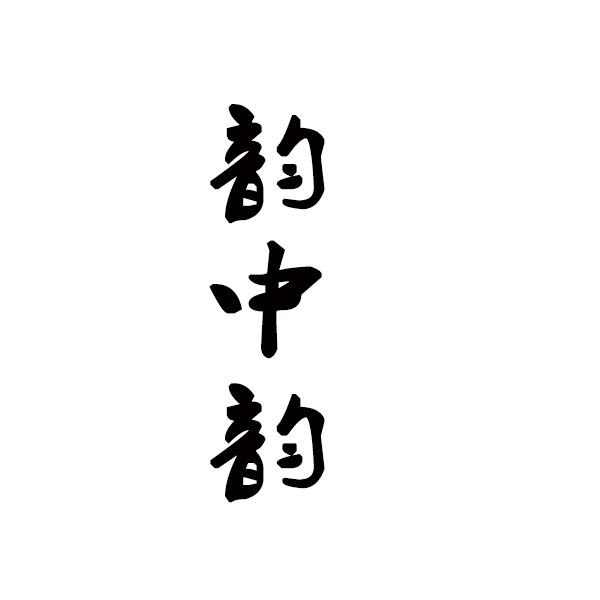 韵中韵