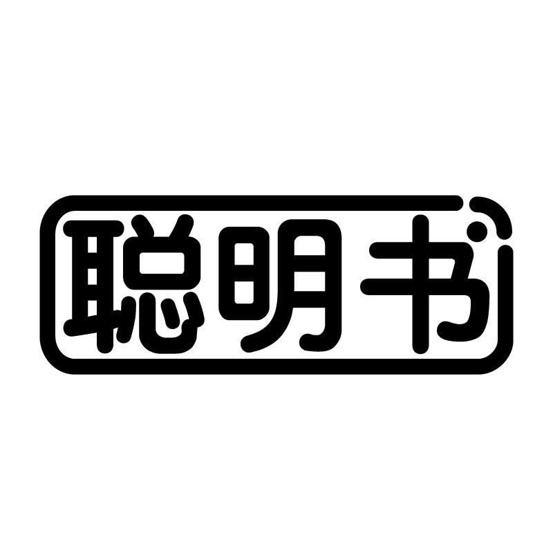 聪明书 
