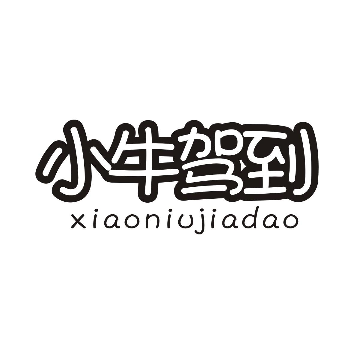 小牛驾到XIAONIUJIADAO