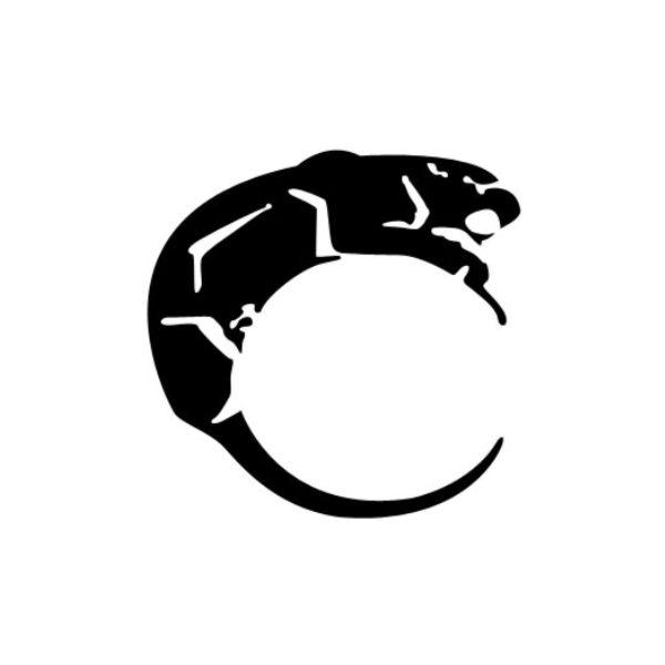 C豹图形