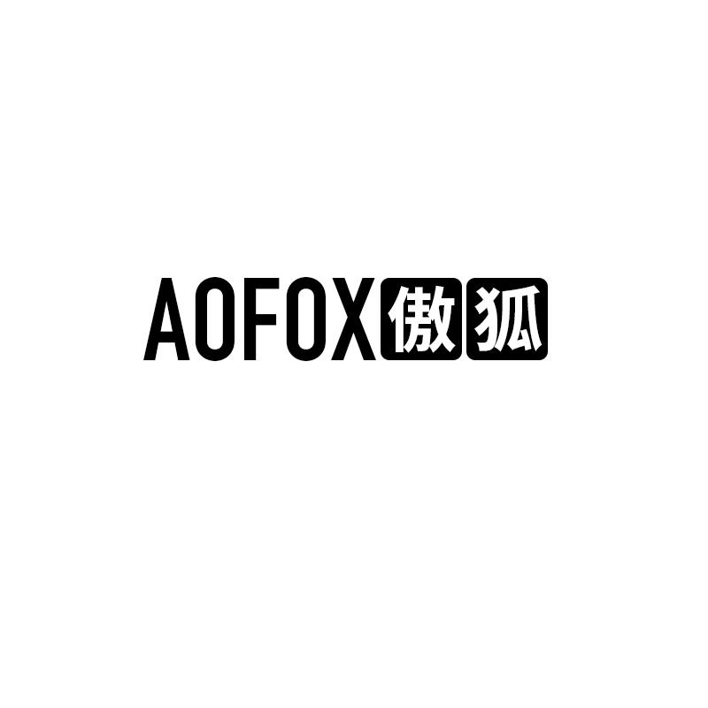 傲狐 AOFOX