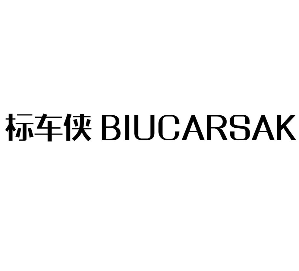 标车侠 BIUCARSAK