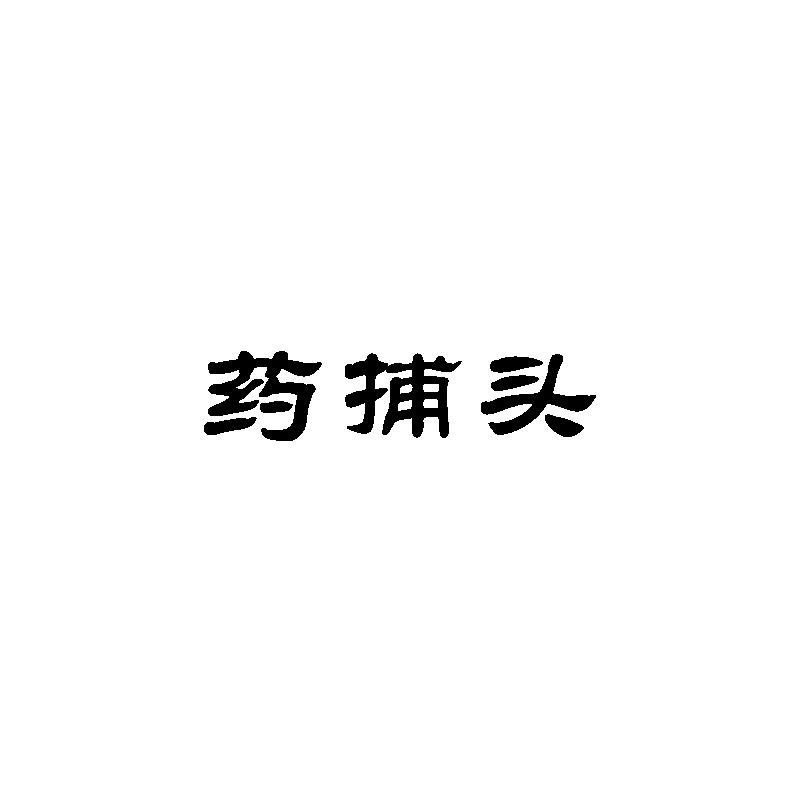 药捕头