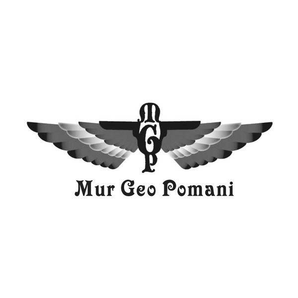 阿玛尼图形+Mur Geo Pomani