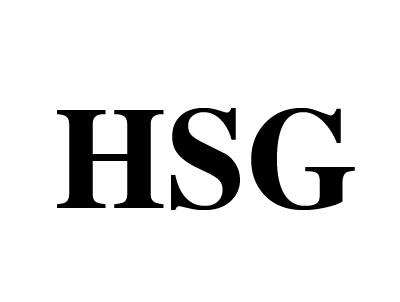 HSG