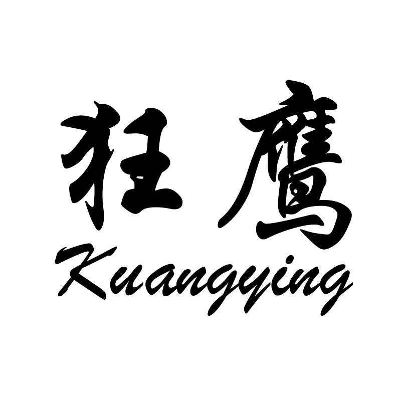 狂鹰 