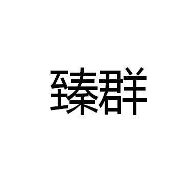 臻群
