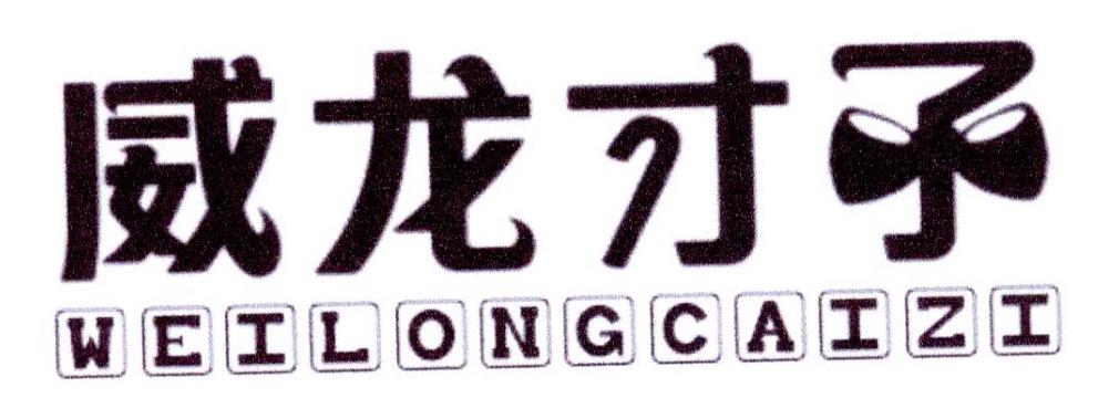 威龙才子