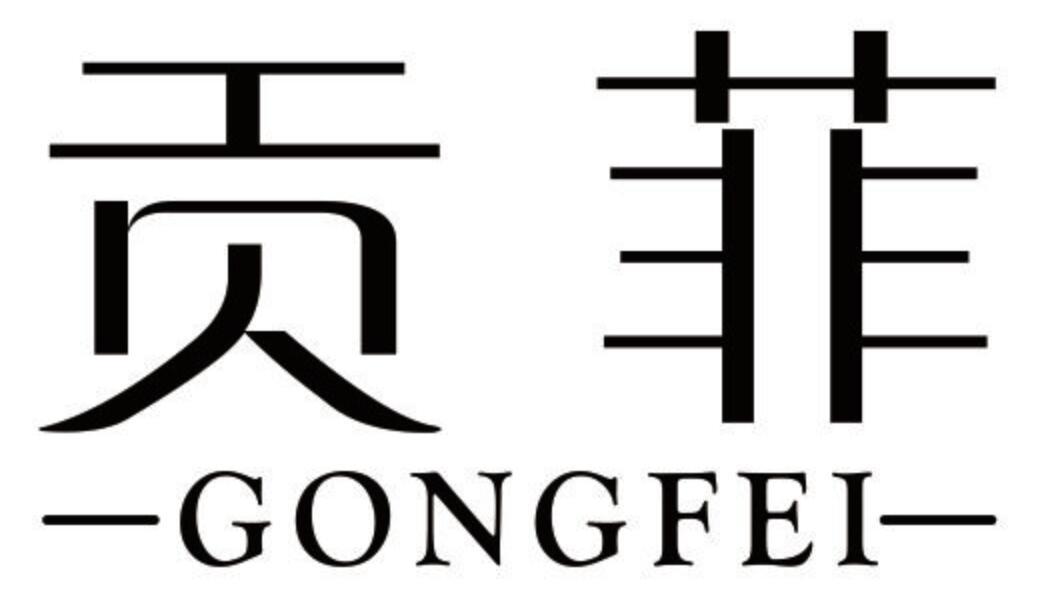 贡菲 GONGFEI
